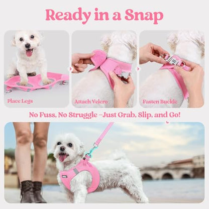 rabbitgoo Dog Harness Small Sized and Leash Set, Step in Soft Light Puppy Vest, Breathable Mesh Pet Harness, Reflective for Safe Easy Walking, Light Pink XXS - color: Light Pink, size: Xxs (chest: 12.4 - 14.2")