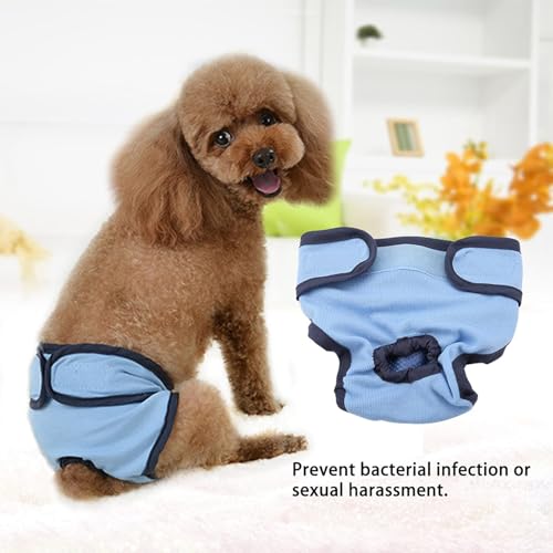 TOPINCN Dog Physiological Pants, Female Pet Sanitary Diaper, Polyester, Washable, Elastic Waistband, for Small Medium Large Dogs, Blue, Size M