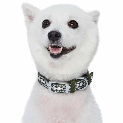 Blueberry Pet Reflective Jacquard Dog Collar with Neoprene Padding & Metal Buckle | Soft & Adjustable Safety Collar - Olive, Neck 17-20.5", for Large Breed - color: Metal Buckle-Olive, size: Large
