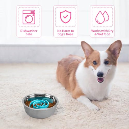 Slow Feeder Dog Bowls Insert, Bestalk Soft Silicone Slow Eating Feeder Insert with Suction Cups for Small, Medium and Large Dogs, Fit into Basic and Elevated Dog Bowls, Teal - color: Teal, size: M