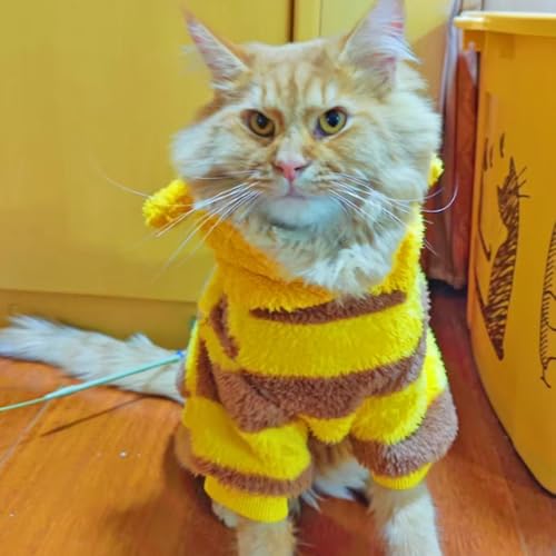 ANIAC Pet Hoodie Cat Rabbit Outfit with Bunny Ears Cute Sweatshirt Spring and Autumn Puppy Knitted Sweater Kitty Soft Knitwear (Yellow, X-Large) - color: Yellow, size: X-Large