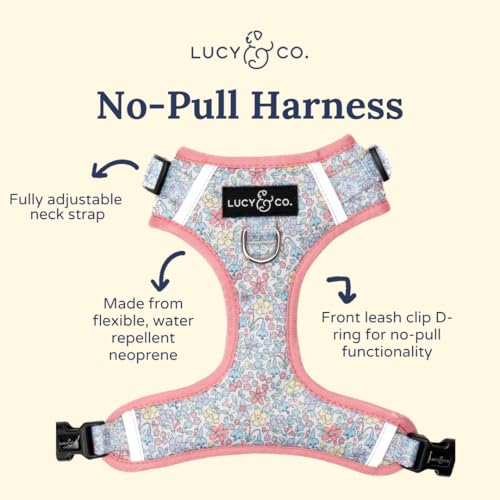 Lucy & Co. Ditsy Daydream No-Pull Dog Harness, Adjustable Front Clip Harness with Comfort Padding, X-Large - color: Ditsy Daydream, size: X-Large