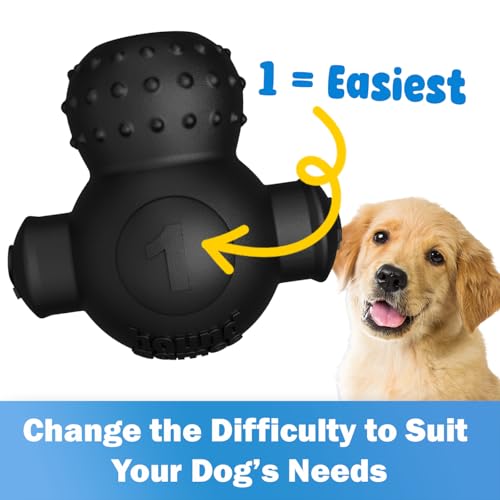 HOUNDGAMES Puppy Puzzle Toys for Puppies, Interactive Treat Dispensing Dog Puzzle, Level 4 Enrichment Toys for Smart Puppies, Small and Medium Dogs, 2 Pack