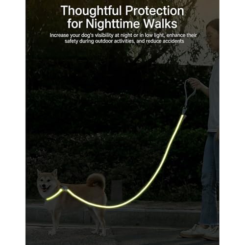 iiniim No-Pull Dog Leash with Padded Handle and Stop Durable Rope Construction Reflective for Evening Runs with Medium Dogs Purple 1.55M - color: Purple, size: 1.55M