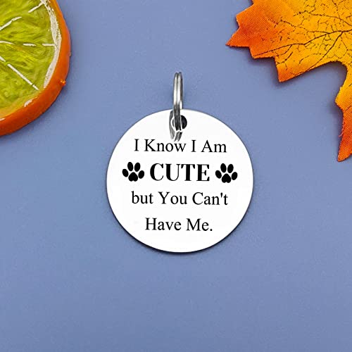 Pet Lover Gifts for Women, Men, Dog Owners, Cat Owners - color: Cat Lover Gifts