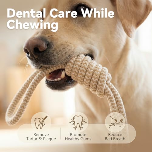 Puppy Chew Toys for Teething, Durable Dog Rope Toys for Small and Medium Dogs, Interactive Chew Rope for Training, M Size - size: Medium