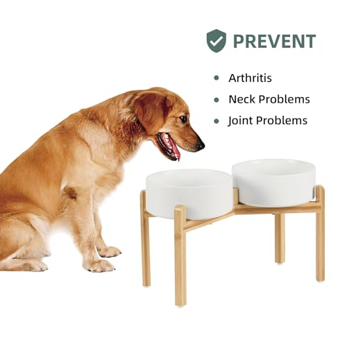 Havniva 8.3” Dog Bowls Elevated Ceramic Dog Food and Water Bowl Set, Double Raised Dog Water Bowl with Stand Non-Slip Rubber Base Large Capacity Feeding Pet Food Bowl for Large Dogs - color: Matte White - 2 Bowls+Stand, size: 8.3 Inch