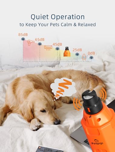 6-Speed Dog Nail Grinder & 3 Grinding Heads Super Quiet 45dB with 2 LED Lights 12000RPM Pet Nail Grinder& 3 Grinding Ports Dog Nail Trimmer for Large Medium Small Dogs with Dust Cap - size: Orange+3 Heads