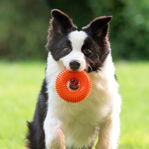 Dog Toys Squeaky - Spiky Ring for Chewers Dog Teething Toy with Rope, Squeaky Puppy Teething Spikey Glitter Ring Chew Toy, Aggressive Chew Indestructible for Puppy Teething Boredom Relief (Blue) - color: Blue