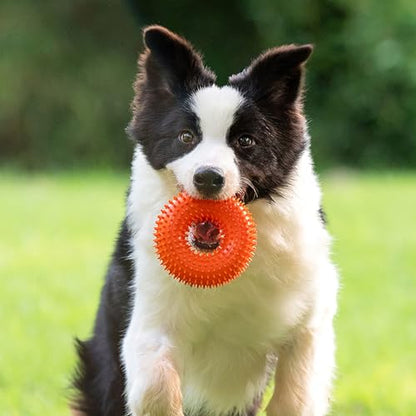 Dog Toys Squeaky - Spiky Ring for Chewers Dog Teething Toy with Rope, Squeaky Puppy Teething Spikey Glitter Ring Chew Toy, Aggressive Chew Indestructible for Puppy Teething Boredom Relief (Blue) - color: Blue