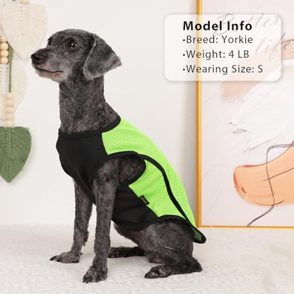2 Pack Dog Clothes,Dog Shirts for Small Dogs,Quick Dry Dog Vest Boy Girl Summer, Puppy T-Shirt with Reflective Strip,Sun Protection Sleeveless Cool Breathable Pet Apparel(Green and Blue, XS) - color: Green and Blue, size: X-Small (Chest 12.2 in)