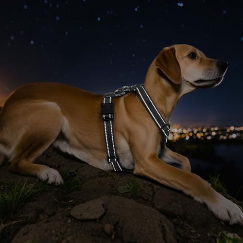 VavoPaw Dog Car Belt, Dog Harness Reflective Strip & Adjustable Buckle, Dogs Car Leash Seat Belts, Dogs Seats Belt Soft Padded & Breathable Mesh, Safety Pet Seat Belts Cars Tether, XL, Carbon Black - color: Carbon Black, size: XL (Chest: 24.4-34.7", Neck: