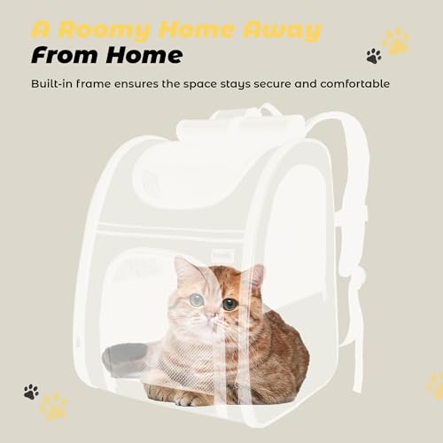 Zavothy Cat Backpack Carrier – Expandable Airline Approved Pet Travel Bag for Cats & Small Dogs, Breathable Mesh Pet Carrier Backpack with Padded Base (Grey) - color: Grey