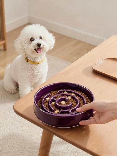 Ceramic Slow Feeder Dog Bowl,1.5 Cups Pet Slow Feeder for Small and Medium Breed,Puzzle Dog Food Dish,Anti-Gulping,Stop Bloat,Preventing Choking(Purple) - color: Purple