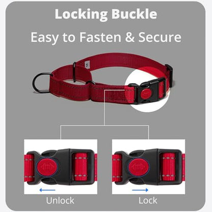 No Pull Martingale Dog Collar with Safety Lock Buckle, Quick-On Design, Gentle Control, Reflective Webbing, Adjustable Training Collar for Small Medium Large Dogs (Gray, L) - color: Gray, size: L