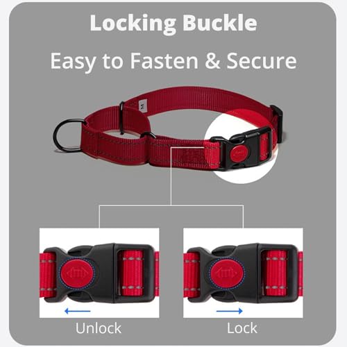 No Pull Martingale Dog Collar with Safety Lock Buckle, Quick-On Design, Gentle Control, Reflective Webbing, Adjustable Training Collar for Small Medium Large Dogs (Gray, XS) - color: Gray, size: XS