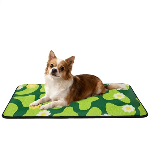 Qeils Reusable Puppy Pads for Small Dogs, Washable Pee Pads with Non-Slip , Absorbent Leakproof Mat for Crates, Playpens, Pet Beds & Whelping, Indoor Potty Training Grass Green, 16"x30", 2 Pack - size: 16"x30"(Pack of 2)