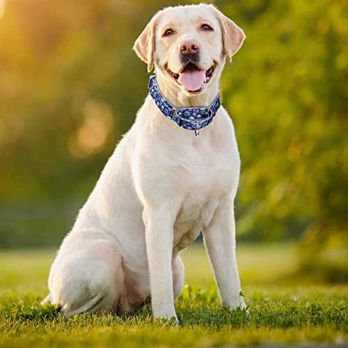 Heavy Duty Nylon Dog Collar, Adjustable Martingale Dog Collar for Walking Training Boy and Girl Dogs Medium Large Dogs (XL:53-62CM, Skulls) - color: Skulls, size: X-Large