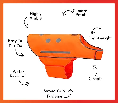 SPOT THE DOG! Reflective Dog Vest - High Visibility Safety Dog Accessories, Fluorescent Dog Apparel for Walking, Hiking & Camping, Hunting (Blaze Orange, Medium) - size: Medium
