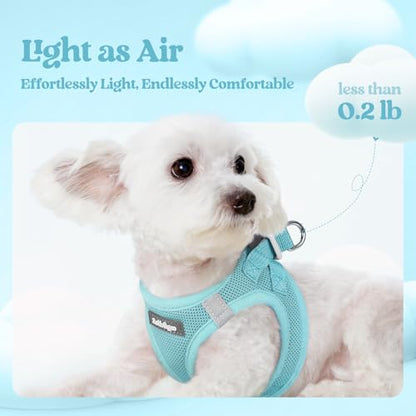 rabbitgoo Dog Harness Small Sized and Leash Set, Step in Soft Light Puppy Vest, Breathable Mesh Pet Harness, Reflective for Safe Easy Walking, Mint Blue XXXS - color: Mint Blue, size: Xxxs (chest: 10.8 - 11.8")