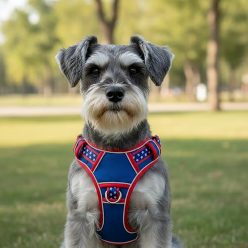 Small Dog Harness No Pull, Puppy Harness with 3 Quick Snap Buckles, Escape Proof Easy Walk Vest for Pug, Mini Schnauzer, Lightweight Tactical Pet Doggy Gear with Handle (S Size) - size: Small