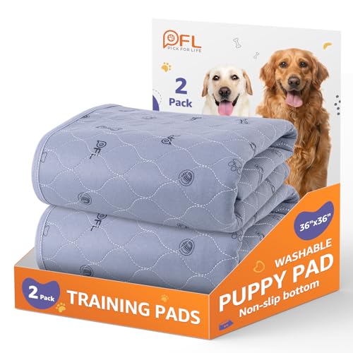 Washable Pee Pads for Dogs, 2Pack Puppy Pads Washable,Absorbent Reusable Whelping Pads, Non-Slip Dog Mats with Bone Print for Floor Protector, Couch Cover, Crate, Potty Training 36x36 - size: 36X36" (Pack of 2)
