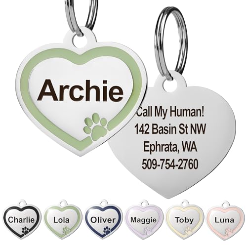 GoTags Stainless Steel Pet ID Heart Bone and Round Shaped Tags with Enamel Paw Design, Personalized Dog and Cat Tags, up to 5 Lines of Custom Text, Engraved on Both Sides (Sage, Small Heart) - color: Sage, size: Small Heart (Pack of 1)