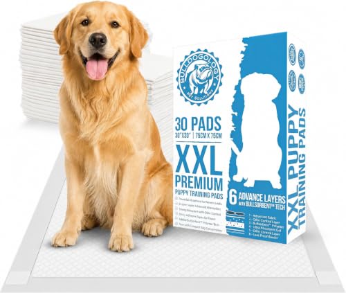 Bulldogology Puppy Pee Pads XXL with Adhesive Sticky Tape - Extra Large Dog Training Wee Pads (30x30) 6 Layers with Extra Quick Dry Bullsorbent Polymer Tech (30-Count, White) - size: 30-Count (30x30)