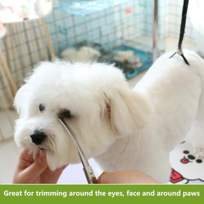 HASHIMOTO Curved Dog Grooming Scissors with Safety Round Tips, 6.5 inch. | Lightweight, No Stabbing with Blunt Tip, 440C Stainless Steel, Sharp, Friendly to amateur. - size: 6.5", style: Curved (Ball-Tip)