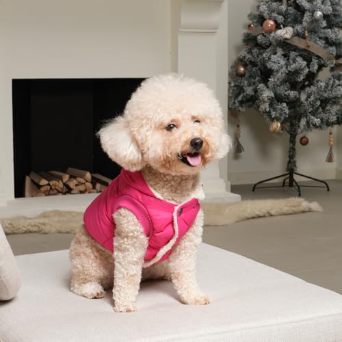 Vecomfy Fleece Lining Extra Warm Dog Hoodie in Winter,Small Dog Jacket Puppy Coats with Hooded Pink XS - color: Pink, size: X-Small (Pack of 1)