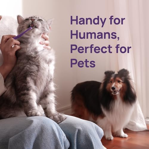 HICC PET Toothbrush for Cats & Small Dogs,Ergonomic Pet Toothbrush for Easy Teeth Cleaning,Gentle on Gums, Cat & Dog Dental Care – Toothpaste Not Included - color: Purple for Cats & Small Dogs