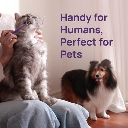 HICC PET Toothbrush for Cats & Small Dogs,Ergonomic Pet Toothbrush for Easy Teeth Cleaning,Gentle on Gums, Cat & Dog Dental Care – Toothpaste Not Included - color: Purple for Cats & Small Dogs