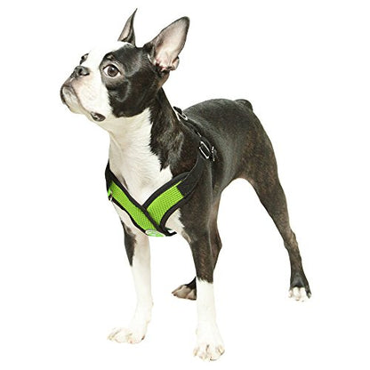 Gooby - Comfort X Step-in Harness, Choke Free Small Dog Harness with Micro Suede Trimming and Patented X Frame, Green, Small - color: Green, size: Small