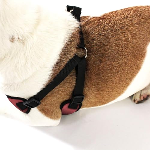 AKC Striped Step-in Dog Harness – No Pull Adjustable Vest with Dual D-Rings, Easy On/Off – Small, Medium & Large Sizes in Black, Gray, Navy & Red - color: Red, size: Large