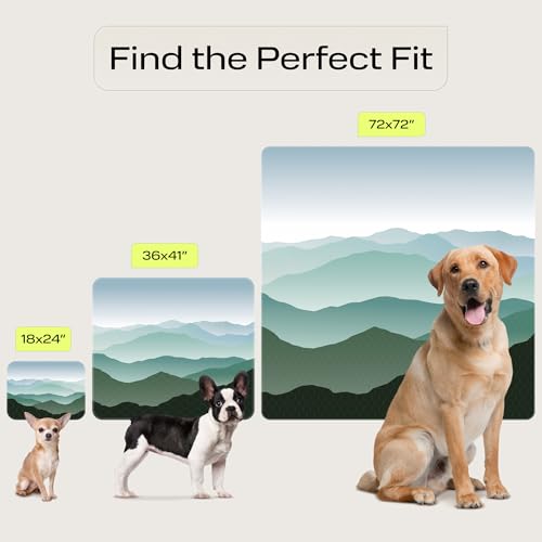 PetSpy Washable Pee Pads for Dogs - Waterproof Reusable Puppy Pads No-Slip Surface - Stylish Dog Potty Training Pads Protect Against Leakage (Landscape, 1 Pack - 72" x 72") - color: Landscape, size: 72 x 72 Inch (Pack of 1)