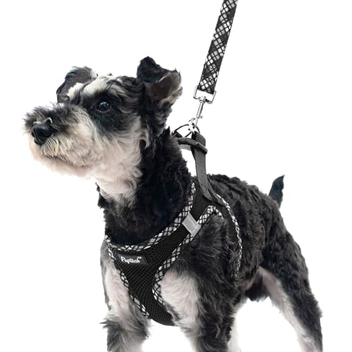 PUPTECK Dog Harness and Leash Set for Small Medium Dogs No Pull Step-in Soft Mesh Puppy Cat Vest Harnesses Reflective at Night, Black S - color: #1 Black(Basic Mesh), size: S(CHEST 14.5"-16", 6.6-14 lbs)