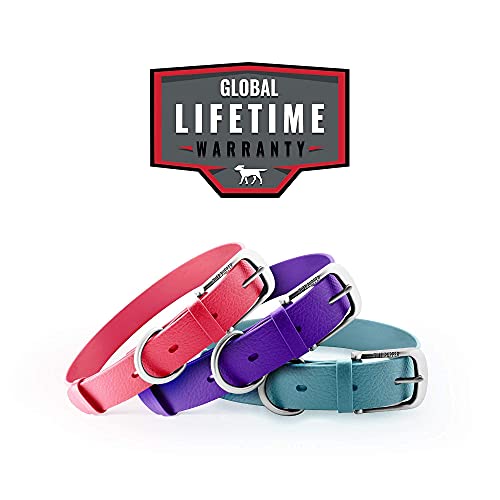 Tuff Pupper Classic Heavy Duty Dog Collar | 10x Stronger Than Leather | 100% Waterproof & Odor Proof Dog Collar | Tough Rust-Proof All Metal Hardware - color: Tropical Teal