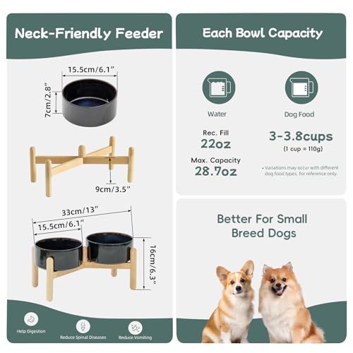 Havniva 6.1inch Ceramic Raised Dog Bowl with Stand, Double Dog Bowls Elevated for Small and Medium Breed Dog Food and Water Bowl Set Non-Slip Dog Dish Large Capacity Feeding Pet Water Bowl - color: 2 Bowls+Stand - Starry Sky, size: 6.1inch