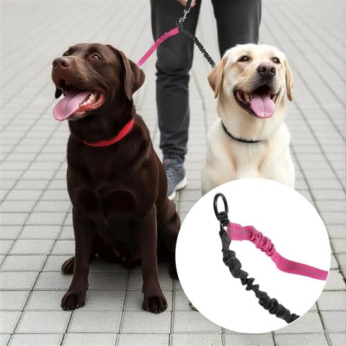 Molain Double Dog Leash Coupler, 360° Swivel No Tangle Splitter with Adjustable Strap and Shock Absorbing Bungee, Reflective Dual Lead for Two Different Size Dogs