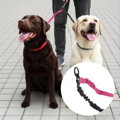 Molain Double Dog Leash Coupler, 360° Swivel No Tangle Splitter with Adjustable Strap and Shock Absorbing Bungee, Reflective Dual Lead for Two Different Size Dogs