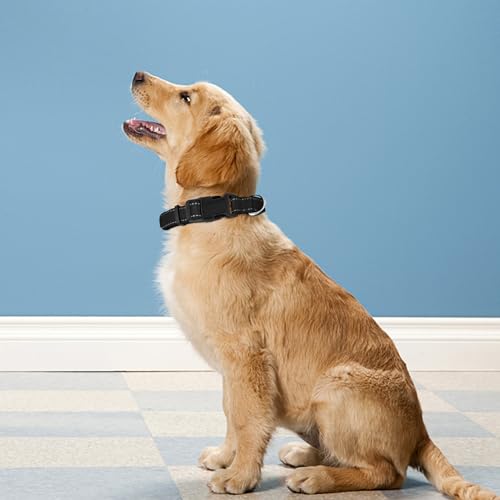Reflective Dog Collar, Adjustable Soft Neoprene Padded Nylon Pet Collars with Buckle for Small Dogs, Black,S - color: Black, size: Small