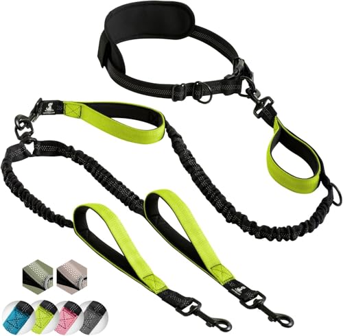 SparklyPets Hands Free Double Dog Leash – Dual Leash for Medium and Large Breeds – Lead for 2 Dogs with Padded Handles, Reflective Stitches, No Pull, Tangle Free - color: Green, size: 2 dogs M/L