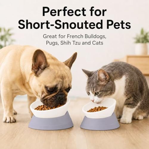 DZXZY French Bulldog Food Bowl, Slanted Tilted Pug Dog Bowl,Non-Slip Pet Feeder for Frenchie, Shih Tzu, Flat Faced Small Dogs, Puppies,Cat (Gray, M -2 Cup) - color: Gray, size: M -2 Cup