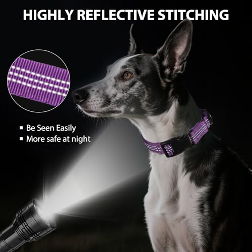 Martingale Dog Collar Quick Release Buckle No Pull Reflective Non-Slip for Medium Large Dogs Training (Purple, Large) - color: Purple, size: Large (Pack of 1)