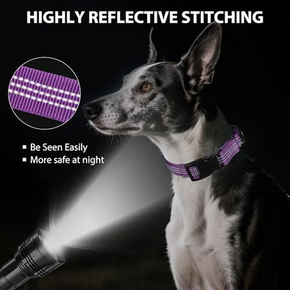 Martingale Dog Collar Quick Release Buckle No Pull Reflective Non-Slip for Medium Large Dogs Training (Purple, Large) - color: Purple, size: Large (Pack of 1)