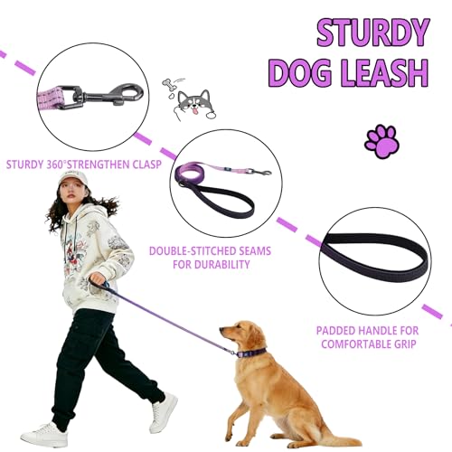 Roses&Poetry Lightpurple Medium Dog Collar and Leash Set, Puppy Reflective Leashes with Collars, Adjustable Durable Matching Collar Leash for Medium Dogs Girl (Lightpurple-M) - color: LightPurple, size: Medium