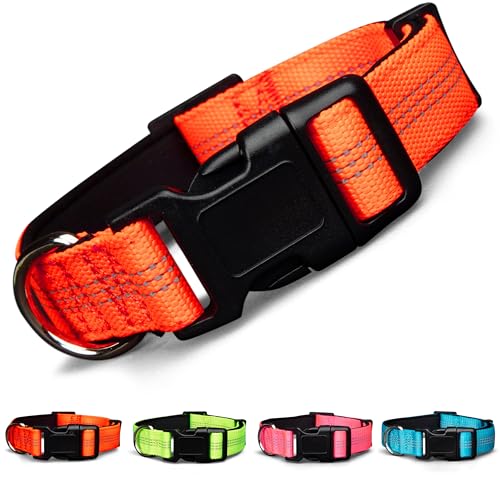 BLAZIN Reflective Dog Collar - Vibrant Color for Day and Night - Soft Neoprene Padded Collar - Adjustable Sizing -'Color Me Happy!' Dog Collars - Brighter Means Safer - (Small, Orange)