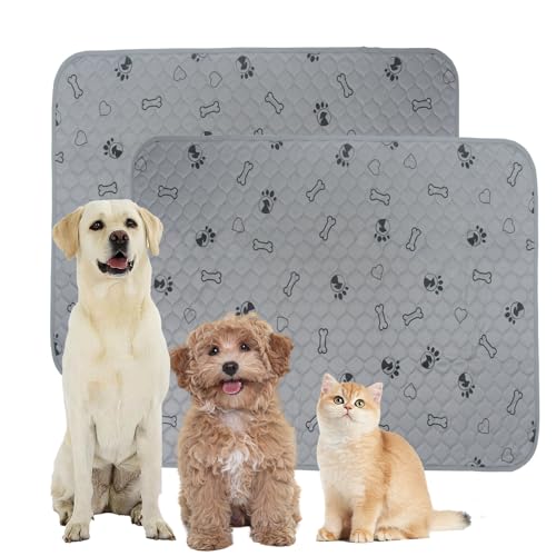 SORKUT Washable Pee Pads for Dogs, 2-Pack 48x48in Reusable Puppy Pads, 100% Waterproof and Non-Slip Whelping Pads, Super Absorbent Pet Training Pads for Potty Training, Playpens, Crates and Couches - size: 48''x48''(Pack of 2)