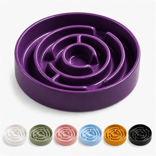 Ceramic Slow Feeder Dog Bowls with Anti-Slip, Slow Feeder & Non-Slip Design, Boredom and Anxiety Reducer, Suitable for All Breed Dogs and Cat (Ceramic-Purple) - color: Ceramic-Purple