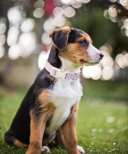 DOGWONG Cotton Hemp Dog Collar, Heavy-Duty Purple Dog Collar Adjustable Soft Natural Fabric Pet Dog Collar Cute Wedding Puppy Necklace for Small Medium Large Dogs - color: A: Light purple, size: X-Small